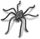 Spider Logo